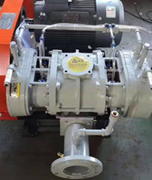 YLSR125L不锈钢罗茨风机