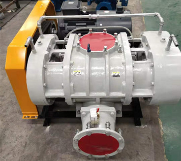 YLSR200L不锈钢罗茨风机