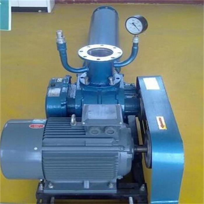 YLFR100F罗茨真空泵