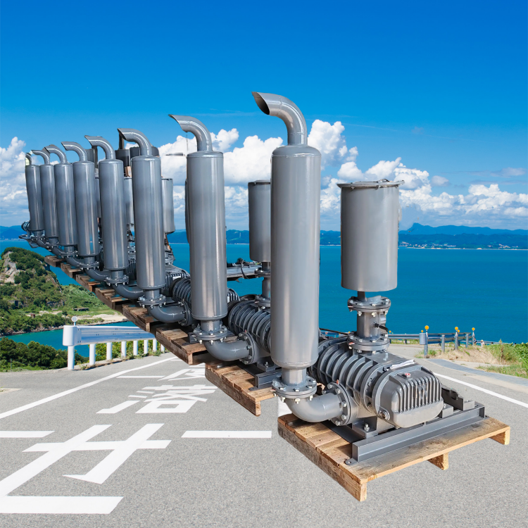 罗茨风机，高效节能，支持定制，就找山东勇龙